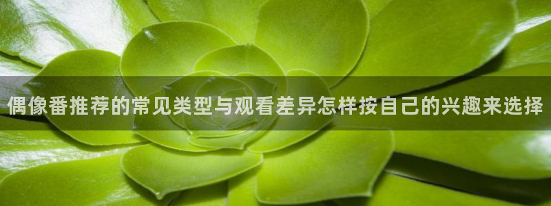 动漫之家软件下载