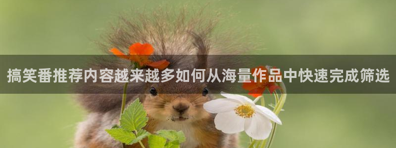 动漫推荐
