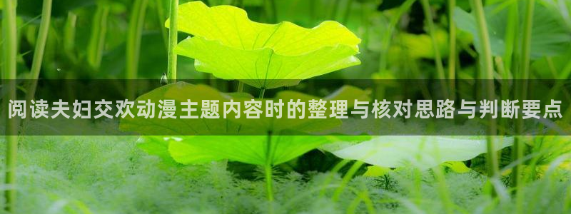 看动漫的app推荐:阅读夫妇交欢动漫主题内容时的整理与核对思路与判断要点