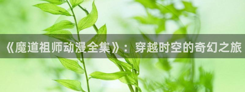 动漫软件推荐
