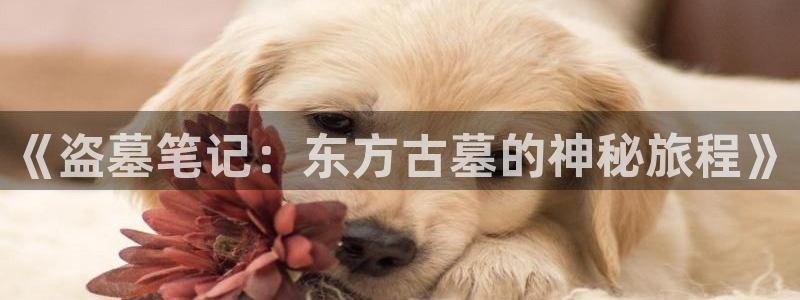 cc看动漫:《盗墓笔记:东方古墓的神秘旅程》