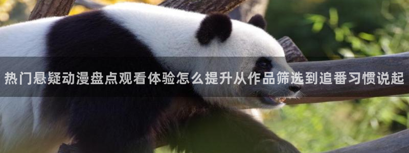 抖漫动漫免费版:热门悬疑动漫盘点观看体验怎么提升从作品筛选到追番习惯说起