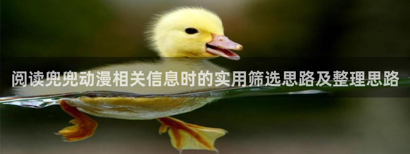 漫漫动漫:阅读兜兜动漫相关信息时的实用筛选思路及整理思路